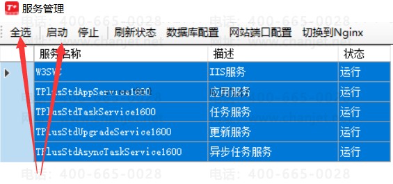 22100904T+.png