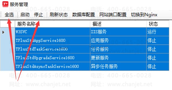 22100903T+.png